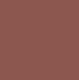 RUSTY RED